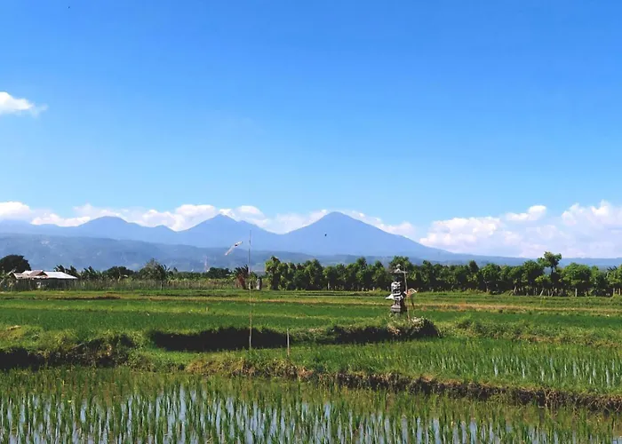 Villa Terang Bulan